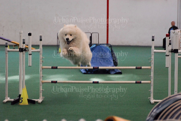 Agility-1705