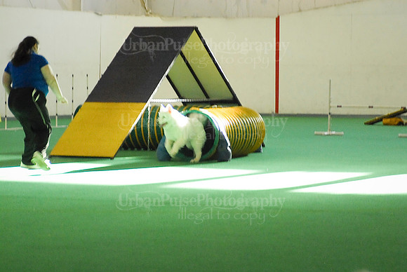 Agility-1709