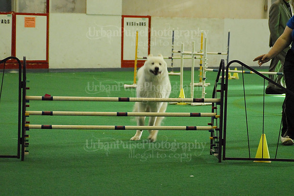 Agility-1710