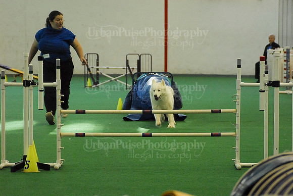 Agility-1711