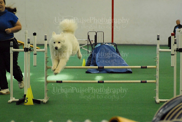 Agility-1712
