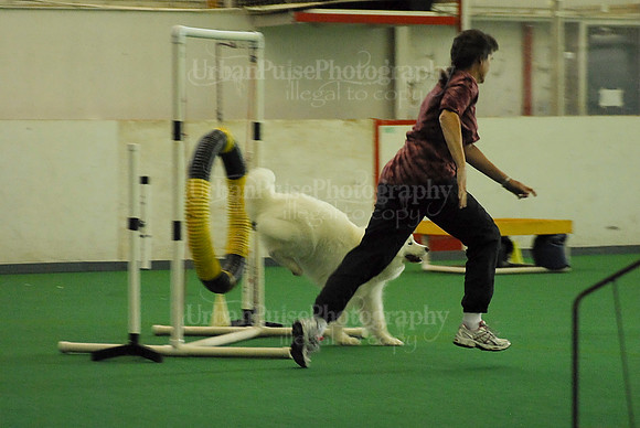 Agility-1713