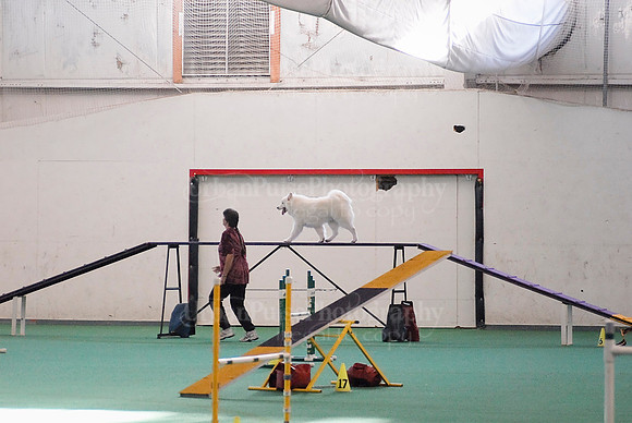 Agility-1714