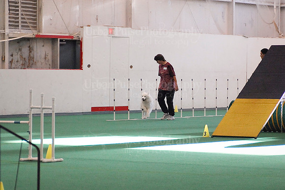 Agility-1715