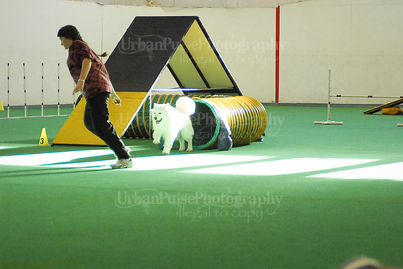 Agility-1717