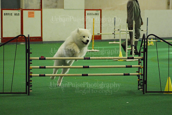 Agility-1718