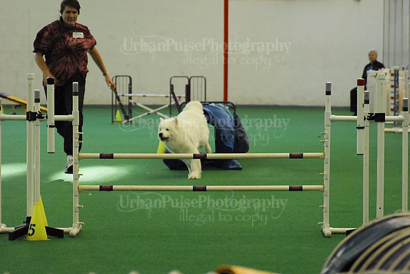 Agility-1719