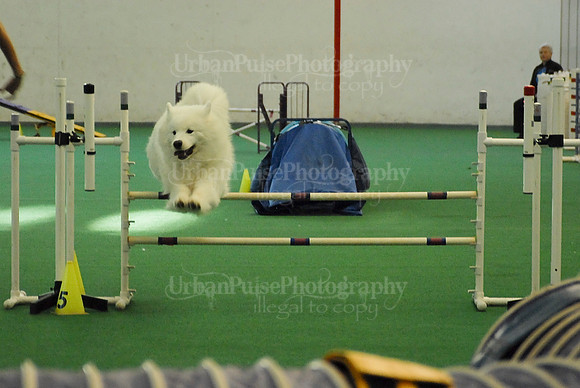 Agility-1720