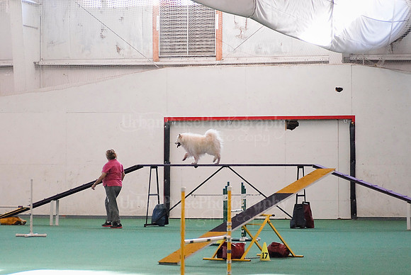 Agility-1721