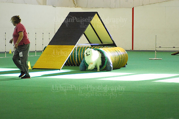 Agility-1723