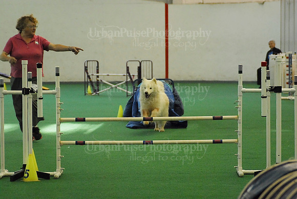 Agility-1725