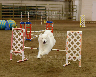 SCA2016_AG MON FAST NOVICE-3536