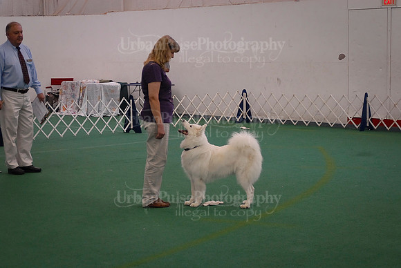 Obedience-2848