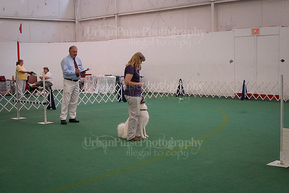 Obedience-2849