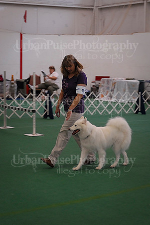 Obedience-2850