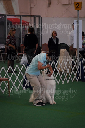 Obedience-2866