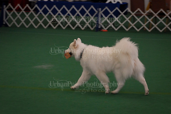 Obedience-2871