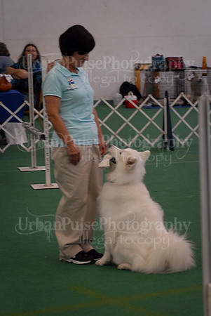 Obedience-2875