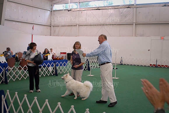 Obedience-2879