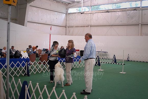 Obedience-2881