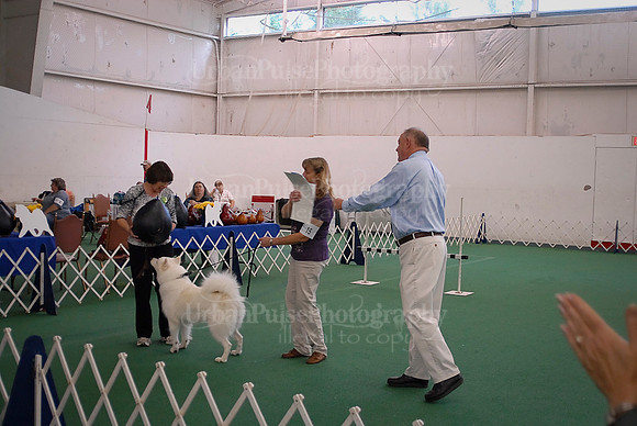 Obedience-2880
