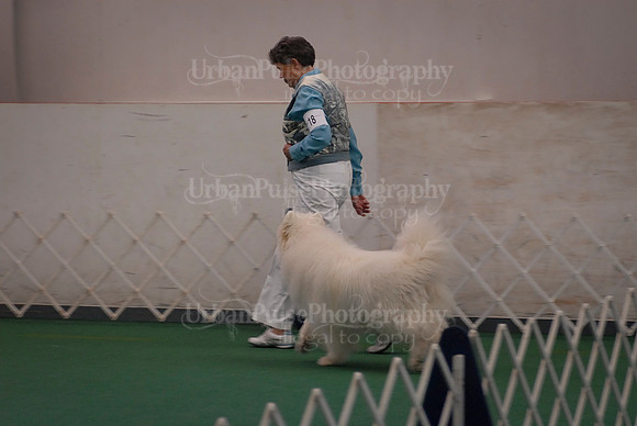 Obedience-2882