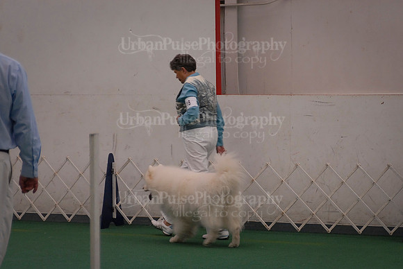 Obedience-2883