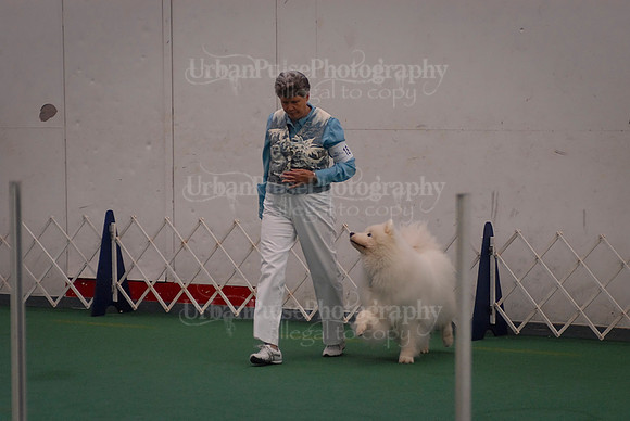 Obedience-2885