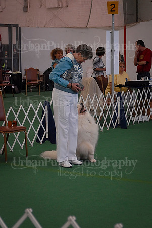 Obedience-2895