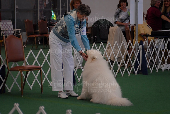 Obedience-2896