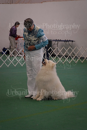 Obedience-2897