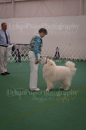 Obedience-2901