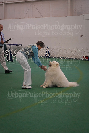 Obedience-2902