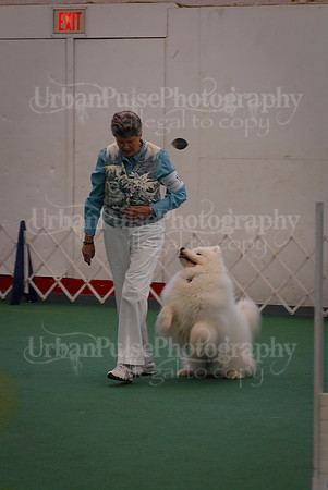 Obedience-2903