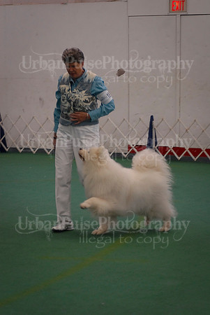 Obedience-2904
