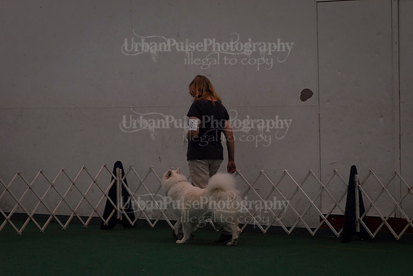 Obedience-2909