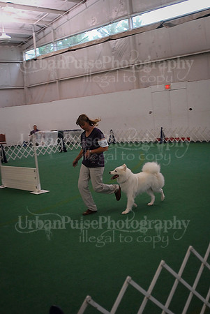 Obedience-2910