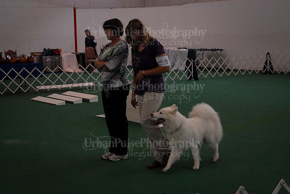 Obedience-2912