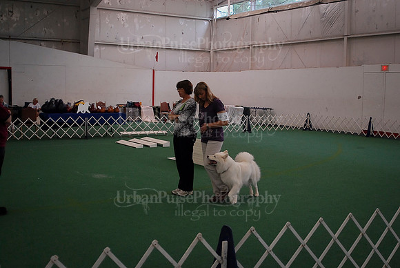 Obedience-2914
