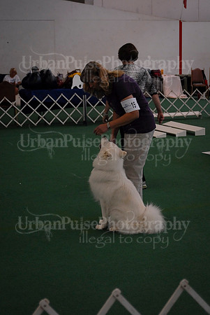Obedience-2915