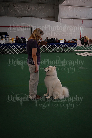 Obedience-2924
