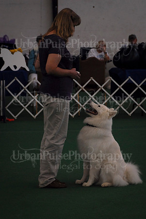 Obedience-2927