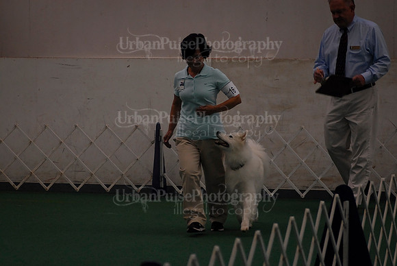 Obedience-2934