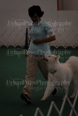 Obedience-2935