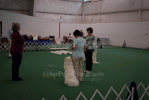 Obedience-2936