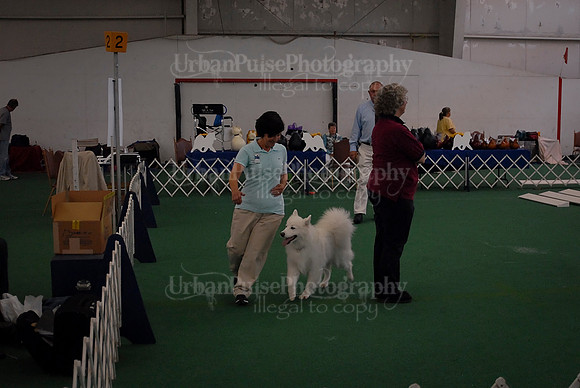 Obedience-2937