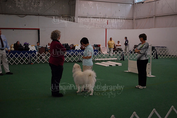Obedience-2939