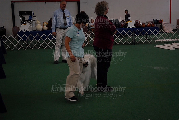 Obedience-2940