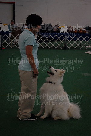 Obedience-2947