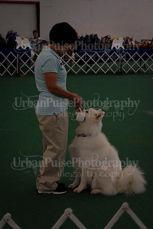 Obedience-2952